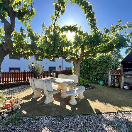Cal Muntanyes Villa Font-Rubi Exterior photo